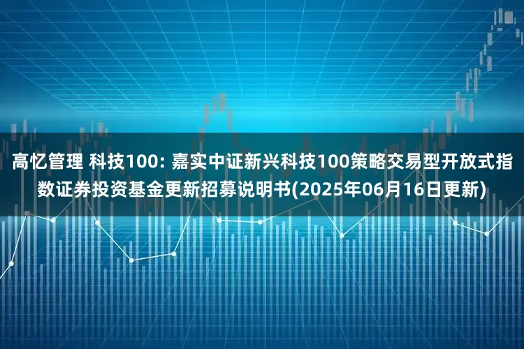 高忆管理 科技100: 嘉实中证新兴科技100策略交易型开放式指数证券投资基金更新招募说明书(2025年06月16日更新)