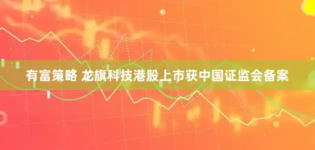 有富策略 龙旗科技港股上市获中国证监会备案